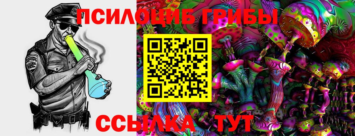 Псилоцибиновые грибы Psilocybine cubensis  Вход с VPN  где найти   Железноводск 