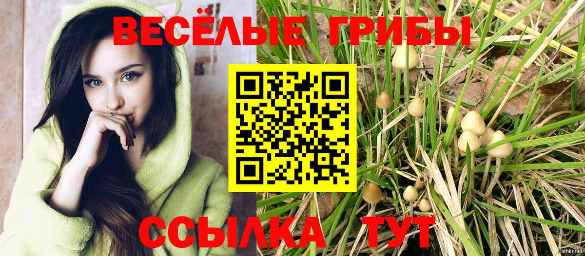 Галлюциногенные грибы Cubensis Железноводск